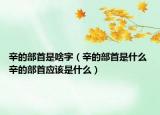 辛的部首是啥字（辛的部首是什么 辛的部首應(yīng)該是什么）