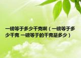 一磅等于多少千克?。ㄒ话醯扔诙嗌偾Э?一磅等于的千克是多少）