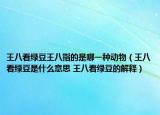 王八看綠豆王八指的是哪一種動(dòng)物（王八看綠豆是什么意思 王八看綠豆的解釋）