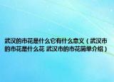 武漢的市花是什么它有什么意義（武漢市的市花是什么花 武漢市的市花簡(jiǎn)單介紹）