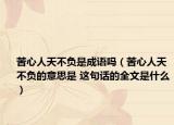 苦心人天不負(fù)是成語嗎（苦心人天不負(fù)的意思是 這句話的全文是什么）