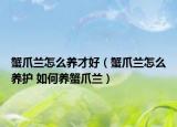 蟹爪蘭怎么養(yǎng)才好（蟹爪蘭怎么養(yǎng)護 如何養(yǎng)蟹爪蘭）