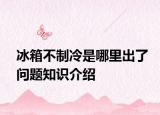 冰箱不制冷是哪里出了問題知識介紹