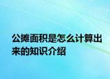 公攤面積是怎么計(jì)算出來(lái)的知識(shí)介紹
