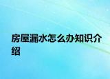 房屋漏水怎么辦知識介紹