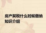 房產(chǎn)契稅什么時(shí)候繳納知識(shí)介紹