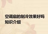 空調(diào)扇的制冷效果好嗎知識(shí)介紹