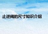 止逆閥的尺寸知識(shí)介紹