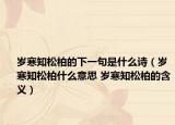 歲寒知松柏的下一句是什么詩(shī)（歲寒知松柏什么意思 歲寒知松柏的含義）