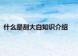 什么是刮大白知識介紹