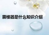 震樓器是什么知識介紹