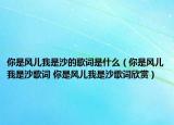 你是風兒我是沙的歌詞是什么（你是風兒我是沙歌詞 你是風兒我是沙歌詞欣賞）