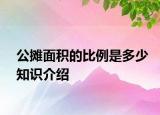 公攤面積的比例是多少知識介紹