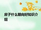 房子什么朝向好知識介紹