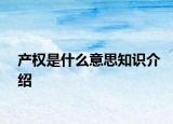 產(chǎn)權(quán)是什么意思知識介紹