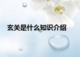 玄關是什么知識介紹