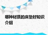 哪種材質(zhì)的床墊好知識(shí)介紹