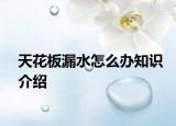 天花板漏水怎么辦知識(shí)介紹