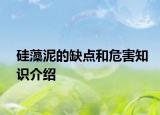 硅藻泥的缺點(diǎn)和危害知識介紹