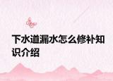 下水道漏水怎么修補知識介紹