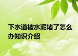 下水道被水泥堵了怎么辦知識介紹