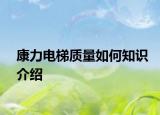康力電梯質(zhì)量如何知識介紹
