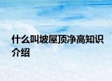什么叫坡屋頂凈高知識介紹