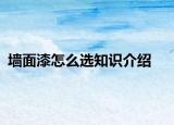 墻面漆怎么選知識介紹