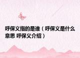 呼保義指的是誰（呼保義是什么意思 呼保義介紹）
