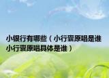 小銀行有哪些（小行囊原唱是誰 小行囊原唱具體是誰）