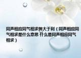同聲相應同氣相求弊大于利（同聲相應同氣相求是什么意思 什么是同聲相應同氣相求）