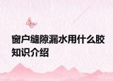 窗戶縫隙漏水用什么膠知識介紹