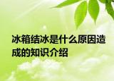 冰箱結(jié)冰是什么原因造成的知識介紹