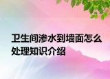 衛(wèi)生間滲水到墻面怎么處理知識(shí)介紹