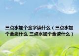 三點(diǎn)水加個(gè)金字讀什么（三點(diǎn)水加個(gè)金念什么 三點(diǎn)水加個(gè)金讀什么）