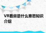 VR看房是什么意思知識介紹