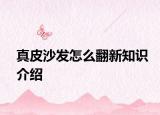 真皮沙發(fā)怎么翻新知識介紹