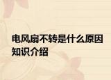 電風(fēng)扇不轉(zhuǎn)是什么原因知識介紹