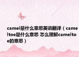 camel是什么意思英語(yǔ)翻譯（cameltoe是什么意思 怎么理解cameltoe的意思）