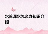 水管漏水怎么辦知識介紹