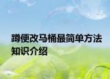 蹲便改馬桶最簡(jiǎn)單方法知識(shí)介紹