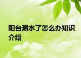 陽臺漏水了怎么辦知識介紹