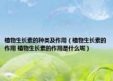 植物生長(zhǎng)素的種類及作用（植物生長(zhǎng)素的作用 植物生長(zhǎng)素的作用是什么呢）