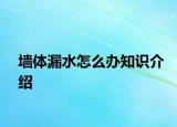 墻體漏水怎么辦知識介紹
