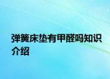 彈簧床墊有甲醛嗎知識(shí)介紹