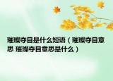 璀璨奪目是什么短語(yǔ)（璀璨奪目意思 璀璨奪目意思是什么）
