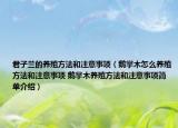君子蘭的養(yǎng)殖方法和注意事項(xiàng)（鵝掌木怎么養(yǎng)殖方法和注意事項(xiàng) 鵝掌木養(yǎng)殖方法和注意事項(xiàng)簡單介紹）
