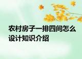農村房子一排四間怎么設計知識介紹