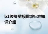 b1級擠塑板阻燃標準知識介紹