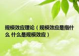 規(guī)模效應(yīng)理論（規(guī)模效應(yīng)是指什么 什么是規(guī)模效應(yīng)）
